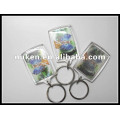 New Gifts Lenticular Printed 3D Plastic Keychain